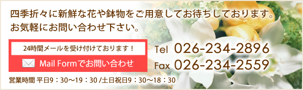 Mail Formでお問い合わせ 